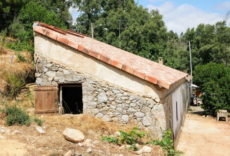 Partially renovated ruin on 1 hectare plot with ample fruit trees five minutes from Monchique for sale