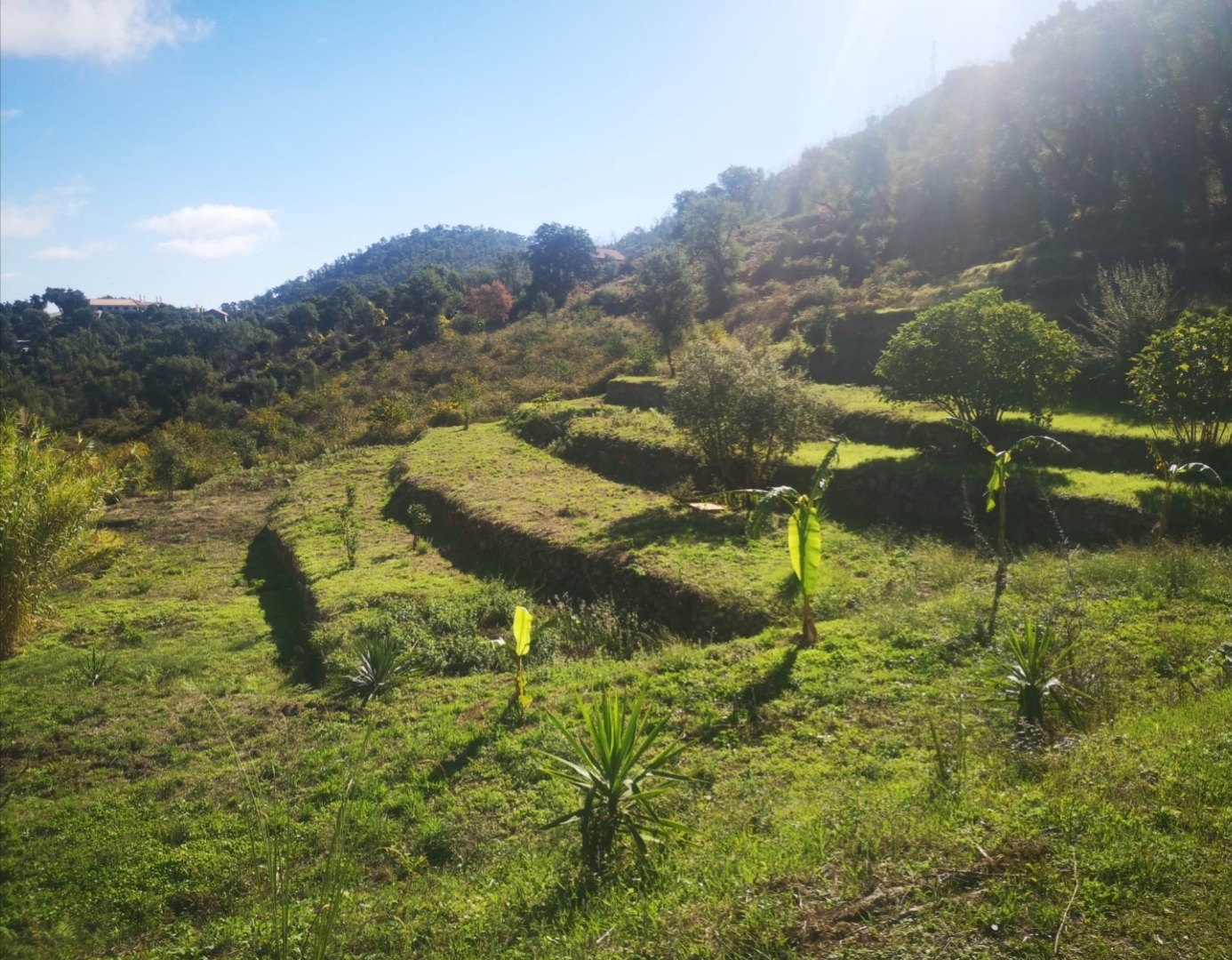Terraced rustic plot in a beautiful valley